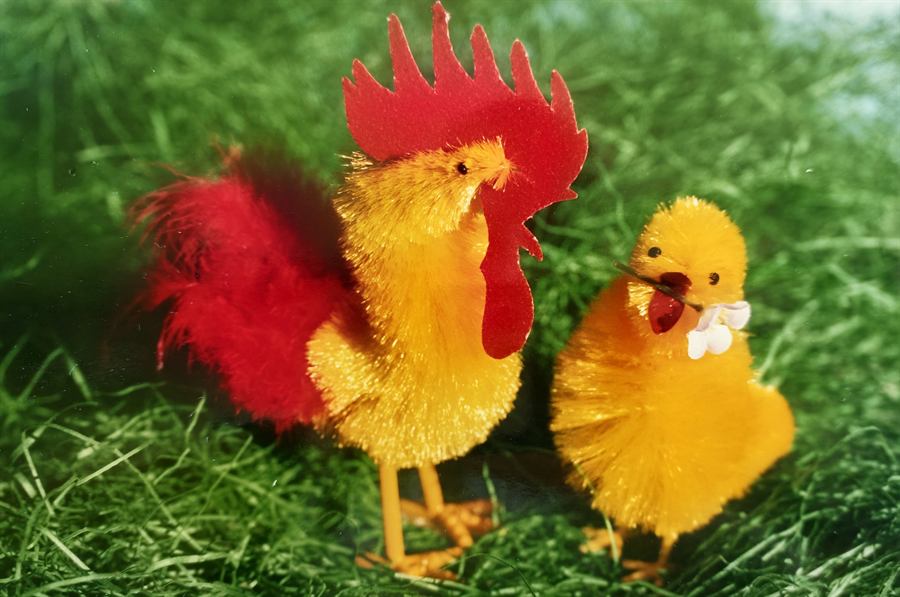 Hahn und Küken aus gelber Chenille mit rotem Kamm und roten Federn im Gras